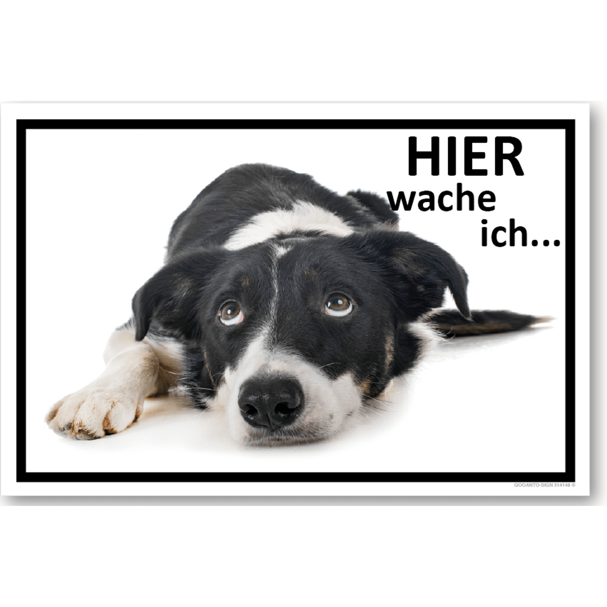 3 Stück Vorsicht Hier Wache Ich... Border Collie HundeSchild | Alu-Verbund | 20 x 13.3 cm | Weiss | Rechteck | Querformat