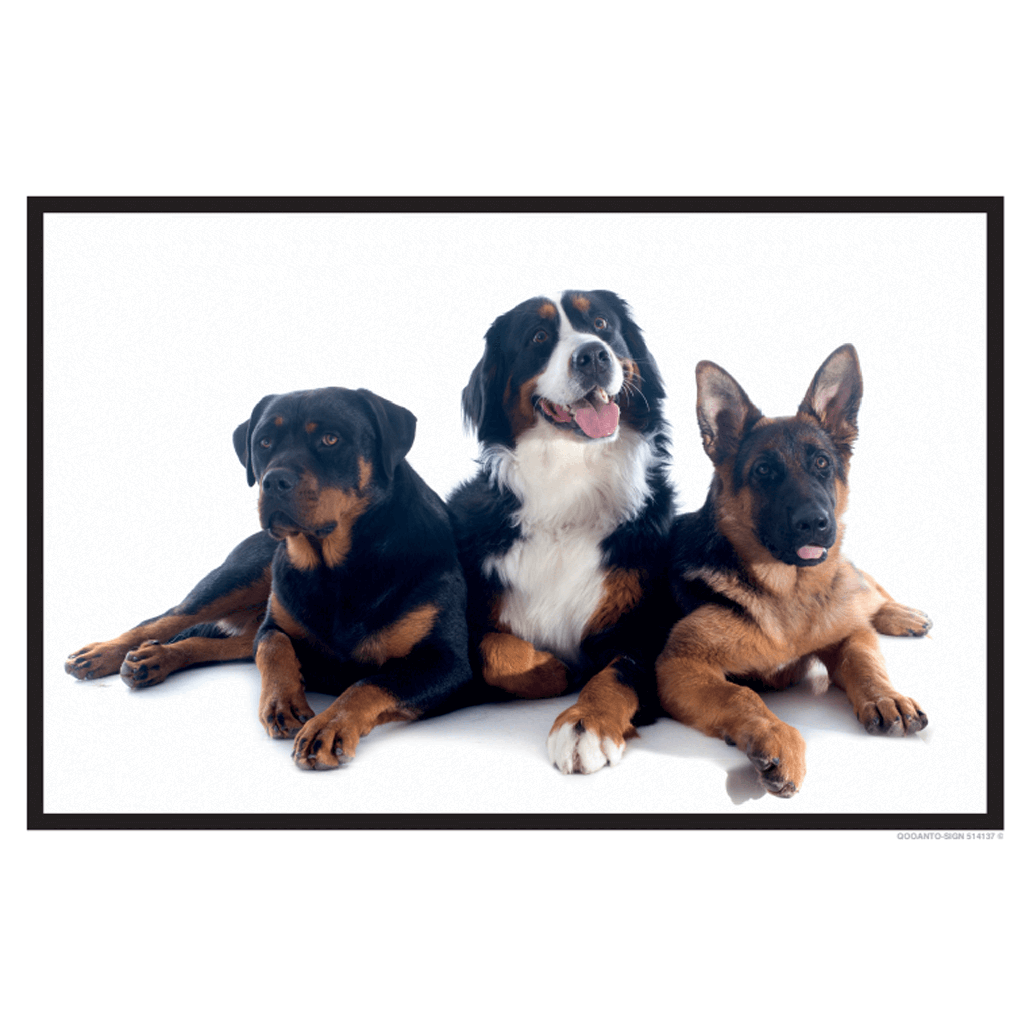 3 Hunde, Schild oder Aufkleber