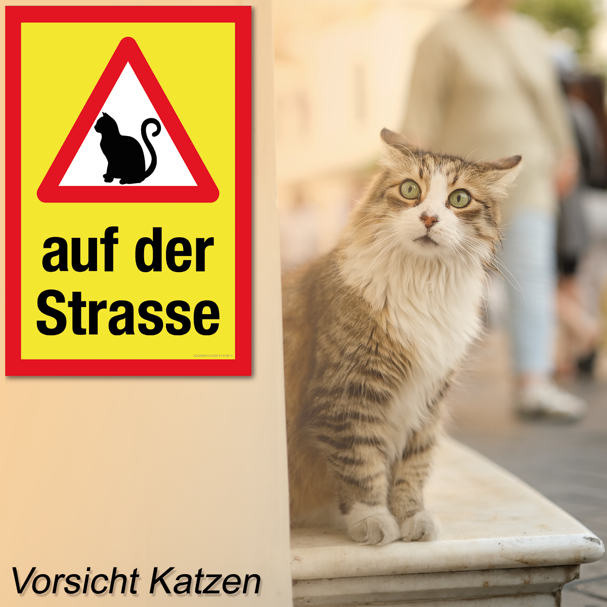 Vorsicht Katzen